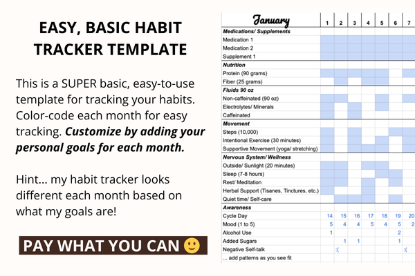 Daily Habit Tracker (template)