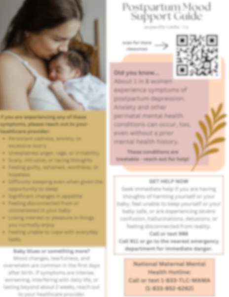 Postpartum Mood Support Infoguide