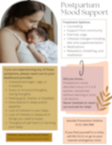 Postpartum Mood Support Infoguide